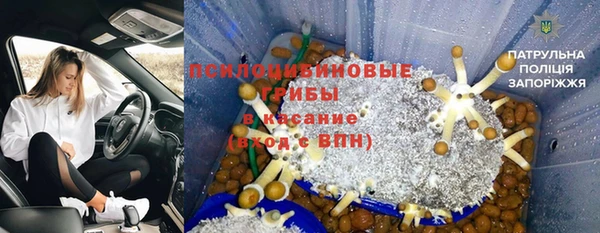 марки lsd Горно-Алтайск